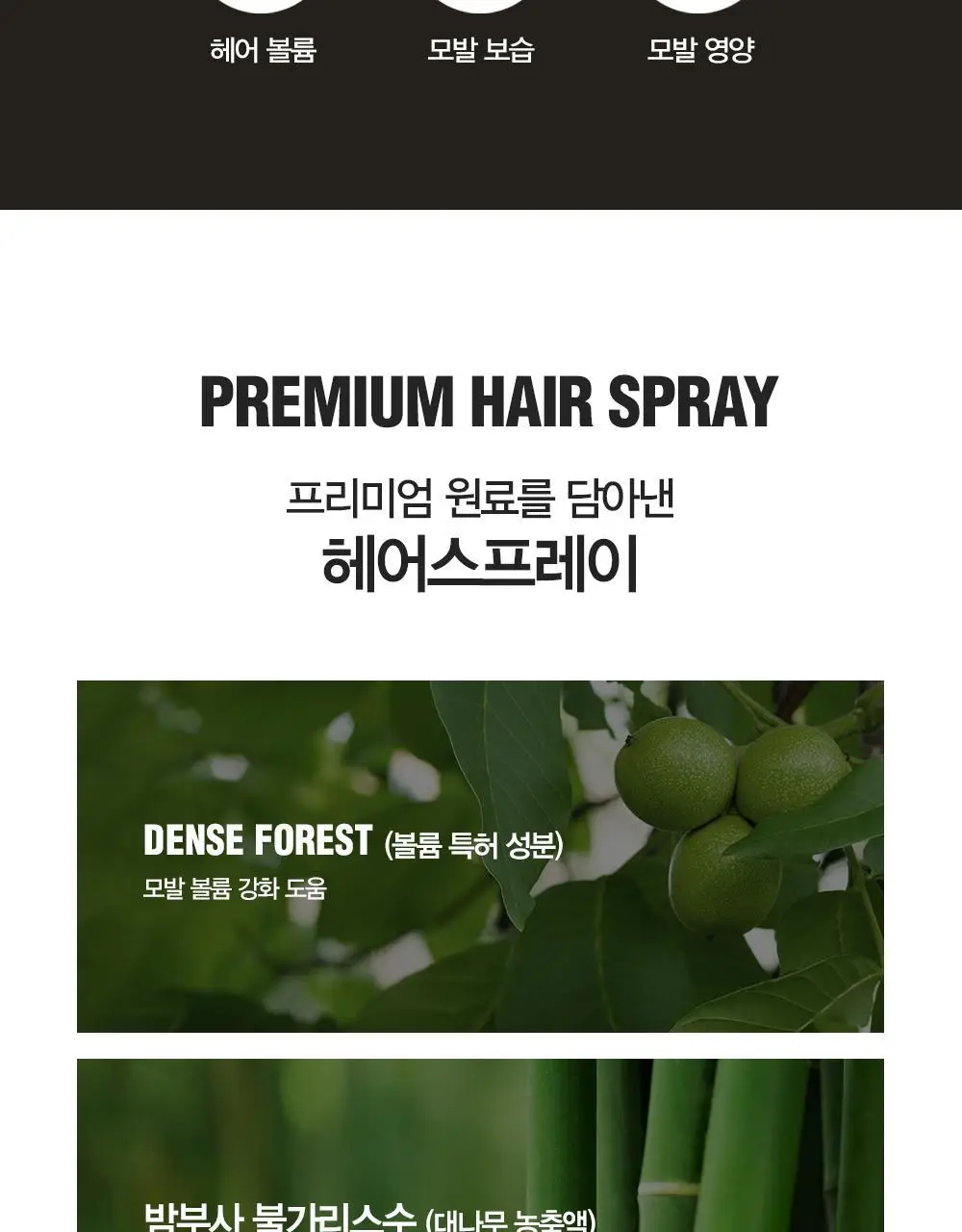 [변우석 Pick/완벽고정]다슈 포맨 밤부 포레스트 메가 하드 스프레이 180ml 상세페이지 14